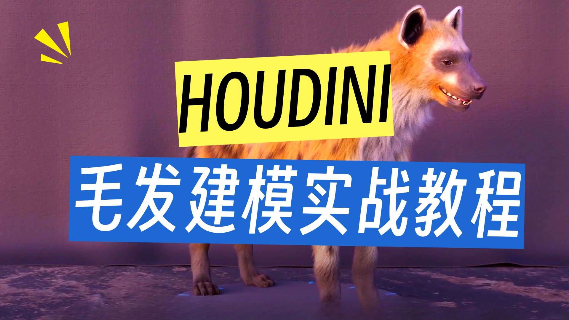 【国语】Houdini中的鬣狗毛发制作技术教程